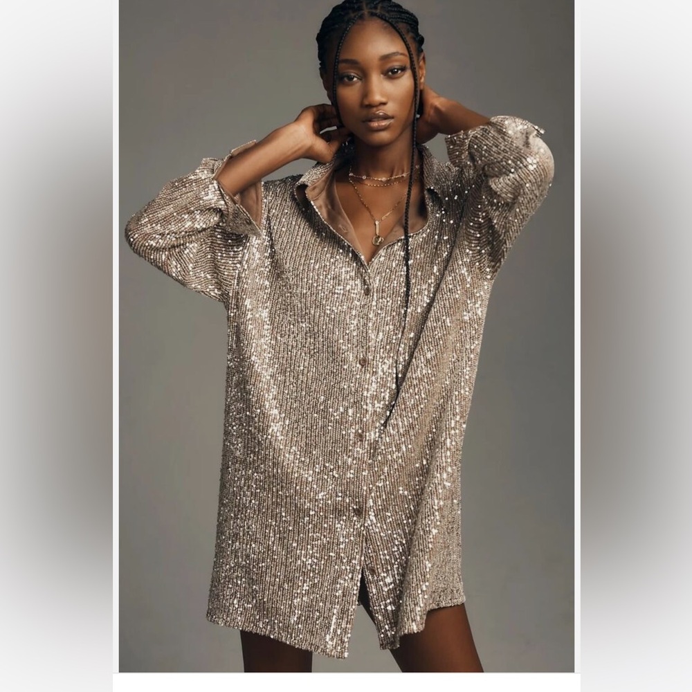 Anthropologie Silver Sequin Dress